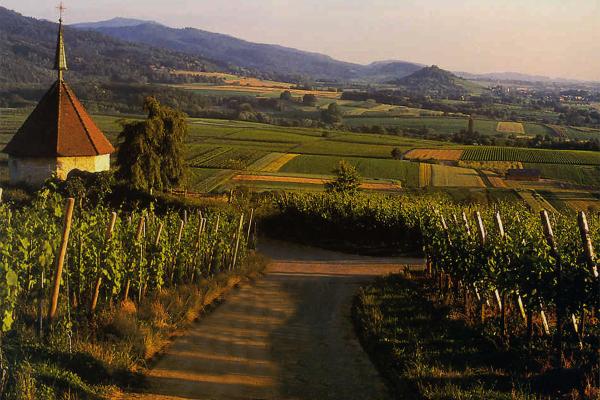 Briefmarke_Markgraeflerland_Oelbergkapelle