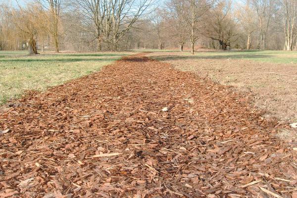 Bad-Krozingen-Kurpark-Finnbahn