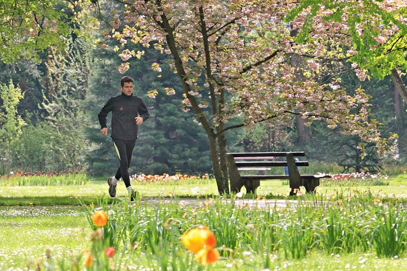 Finnbahn / Joggingstrecken