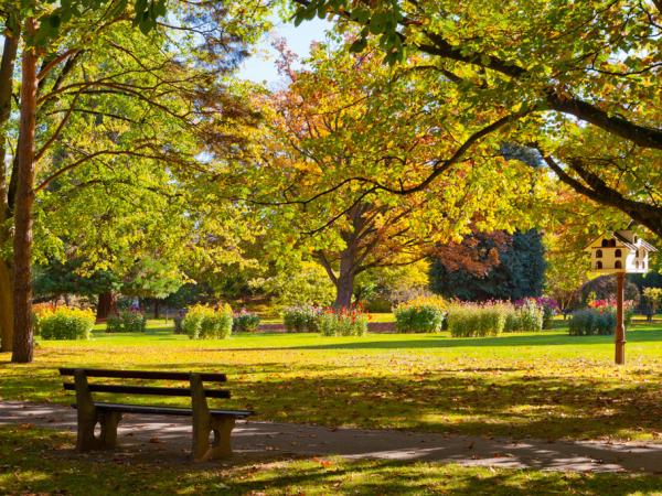 Bad-Krozingen-Kurpark-Farbenzauber