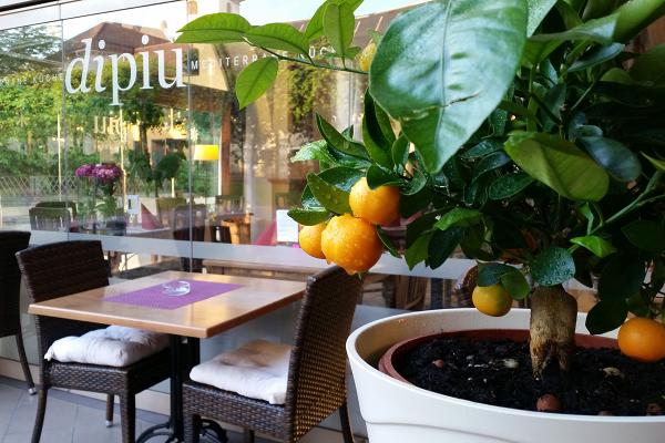 Bad-Krozingen-Restaurant-dipiù