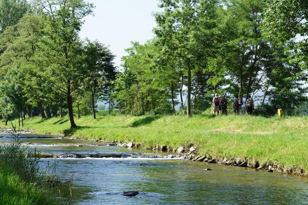 Bad-Krozingen-Neumagen