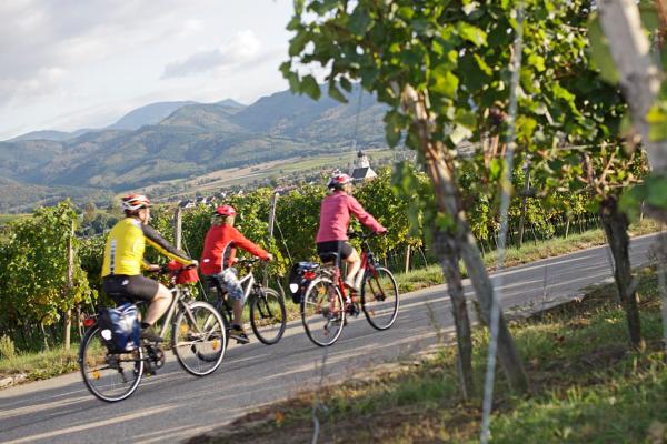 Vita-Classica-Therme-Bad-Krozingen-Fahrrad 04