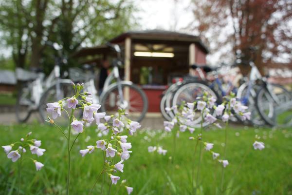 Vita-Classica-Therme-Bad-Krozingen-Radverleih