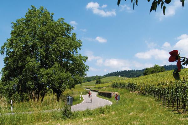 Vita-Classica-Therme-Bad-Krozingen-Rennrad-Kaiserstuhlrunde