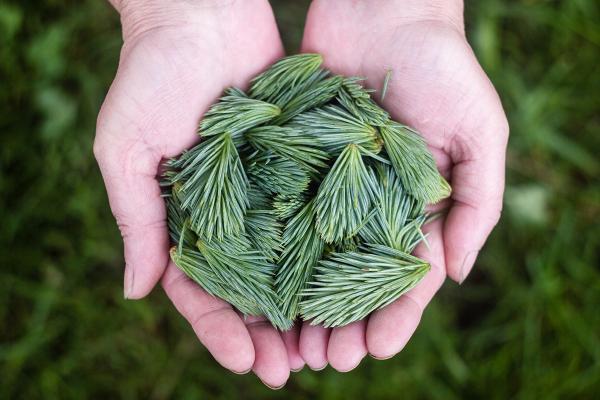 Vita-Classica-Therme-Zirben